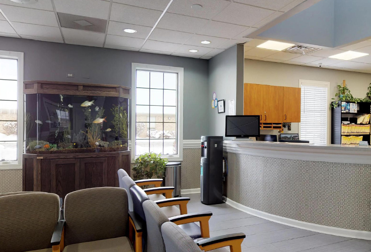 Orthodontic office reception desk